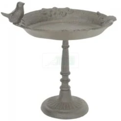 Vogelbad Vogel Op Voet