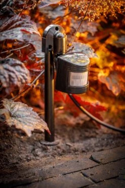 Garden Lights 12V Bewegingssensor (max 60W) -Tuingereedschap Verkoop image 1422