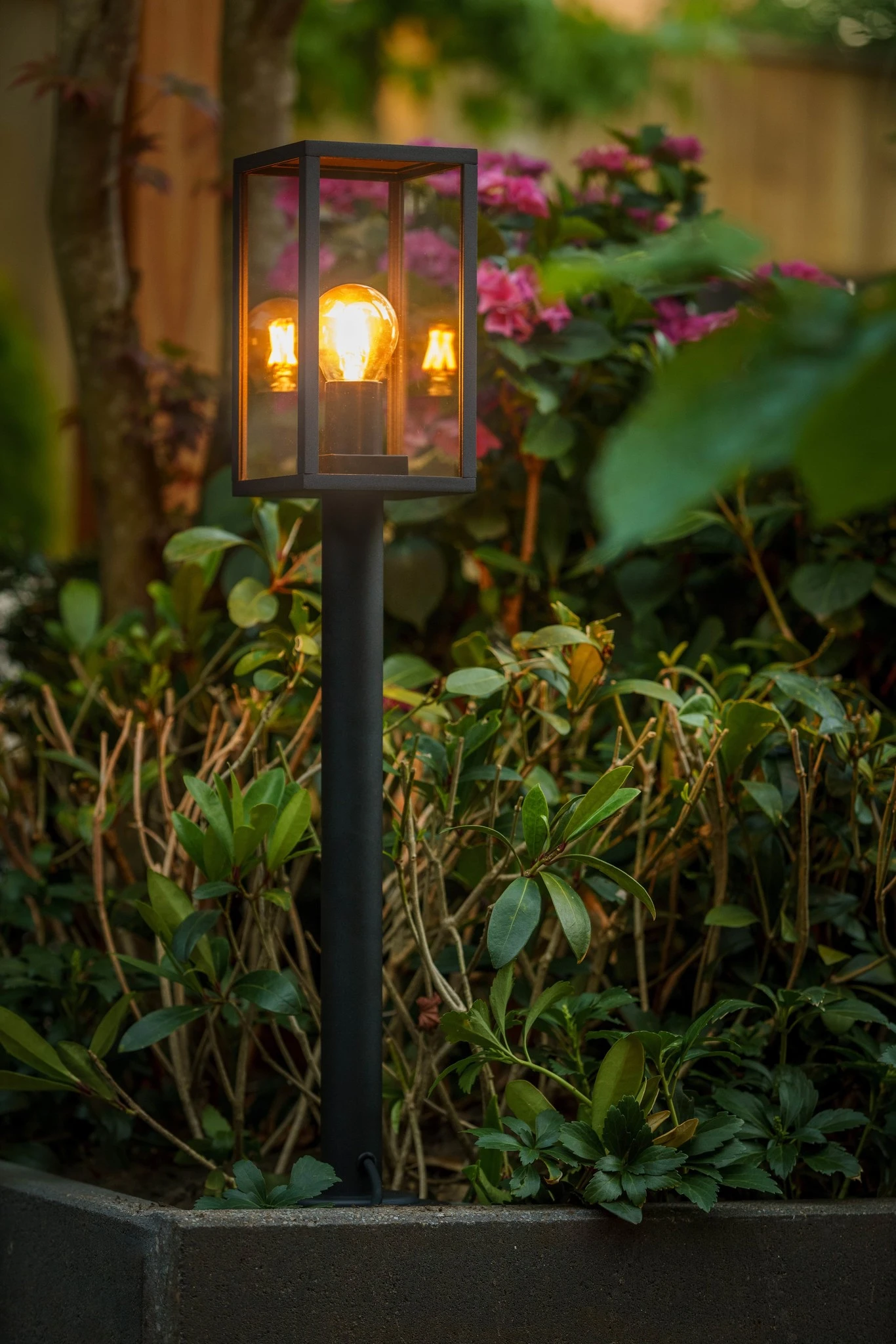 Garden Lights Limosa 70 7 Garden Lights Limosa 70 - Afbeelding 5