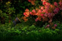 Garden Lights Raf -Tuingereedschap Verkoop image 1563