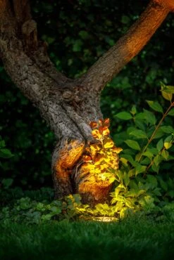 Garden Lights Rubum -Tuingereedschap Verkoop image 1573