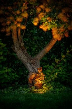 Garden Lights Rubum -Tuingereedschap Verkoop image 1574