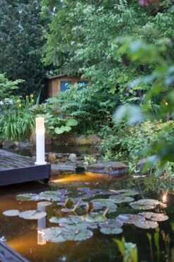 Heissner Smart Light Tuinlamp 3W Warm Wit Metaal 5 Heissner Smart Light Tuinlamp 3W Warm Wit Metaal -Tuingereedschap Verkoop image 1628