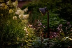 Garden Lights Dax 8 Garden Lights Dax -Tuingereedschap Verkoop image 1646