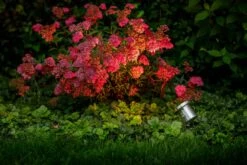 Garden Lights Arigo 6 Garden Lights Arigo -Tuingereedschap Verkoop image 1674