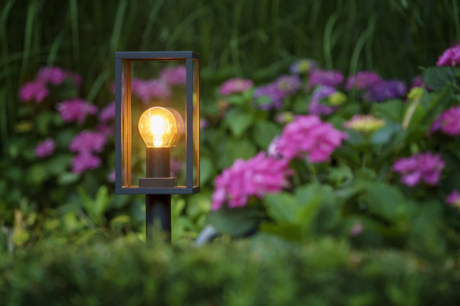 Garden Lights Limosa 90 6 Garden Lights Limosa 90 - Afbeelding 4