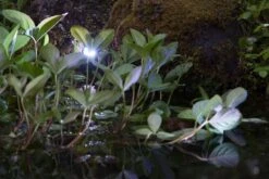 Heissner Smart Light Spot 6W Warm Wit Metaal -Tuingereedschap Verkoop image 1691