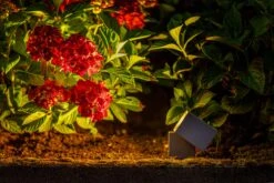 Garden Lights Nano -Tuingereedschap Verkoop image 1708