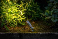 Garden Lights Minus 6 Garden Lights Minus -Tuingereedschap Verkoop image 1711