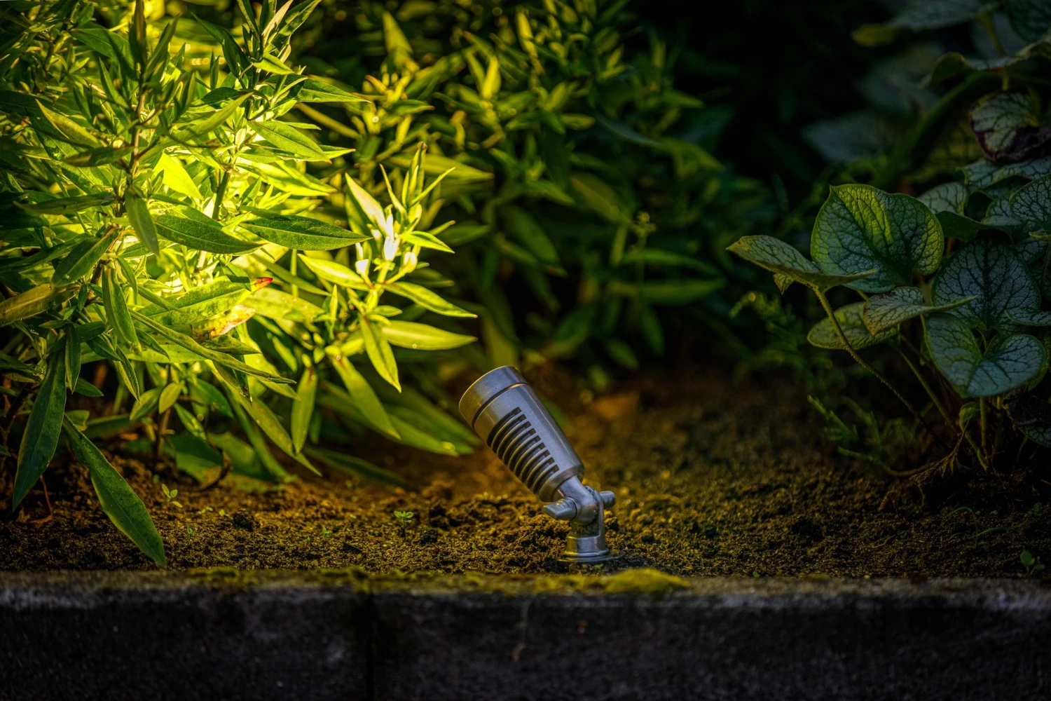 Garden Lights Minus 4 Garden Lights Minus - Afbeelding 2