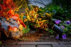 Garden Lights Neso -Tuingereedschap Verkoop image 1736
