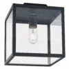 Franssen Franssen Plafondlamp Lofoten Vierkant Zwart - 12V -Tuingereedschap Verkoop image 1762