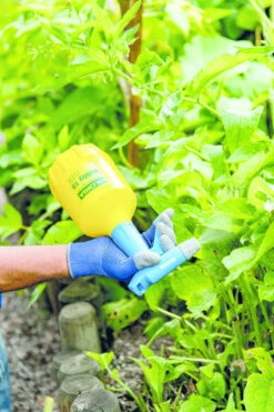 Gloria Fijnsproeier Hobby Flex 10 1 Liter -Tuingereedschap Verkoop image 275