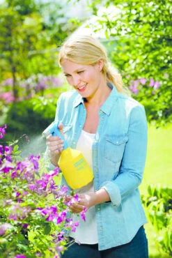 Gloria Fijnsproeier Hobby Flex 10 1 Liter -Tuingereedschap Verkoop image 276