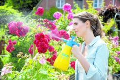 Gloria Fijnsproeier Hobby Flex 10 1 Liter -Tuingereedschap Verkoop image 277