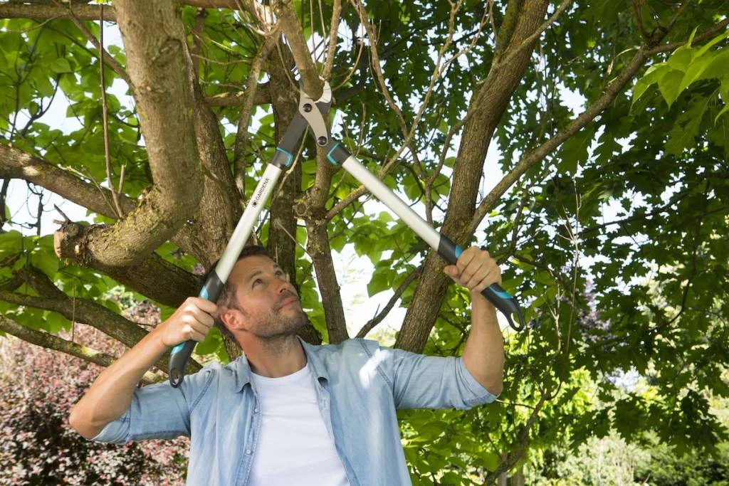 Gardena Takkenschaar EnergyCut 750A 10 Gardena Takkenschaar EnergyCut 750A - Afbeelding 8