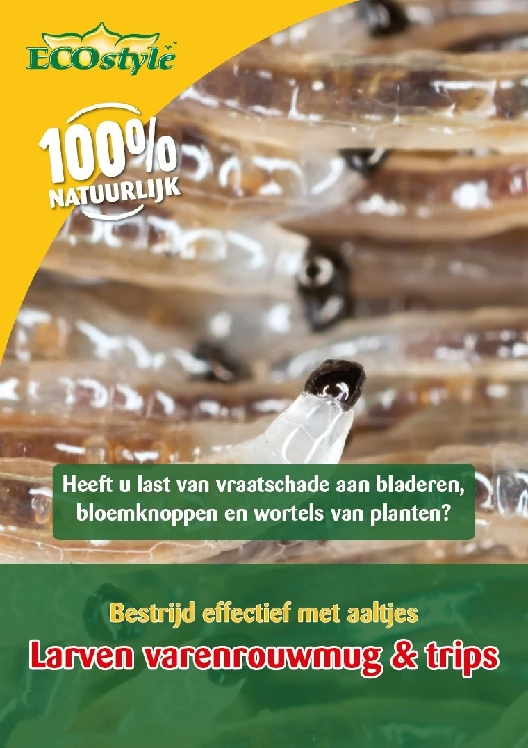 ECOstyle Aaltjes F Tegen Larven Varenrouwmug 5 Mln/5 M2 3 ECOstyle Aaltjes F Tegen Larven Varenrouwmug 5 Mln/5 M2