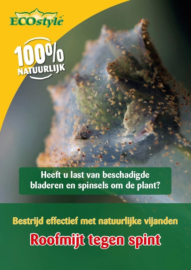 ECOstyle Roofmijt Tegen Spint 1.000 St. 3 ECOstyle Roofmijt Tegen Spint 1.000 St.