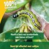 ECOstyle Aaltjes FC Tegen Larven Buxusmot 10 Mln/20 M2 1 ECOstyle Aaltjes FC Tegen Larven Buxusmot 10 Mln/20 M2 -Tuingereedschap Verkoop image 518