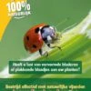 ECOstyle Larven Lieveheersbeestje Tegen Bladluizen 100 St. 1 ECOstyle Larven Lieveheersbeestje Tegen Bladluizen 100 St. -Tuingereedschap Verkoop image 543