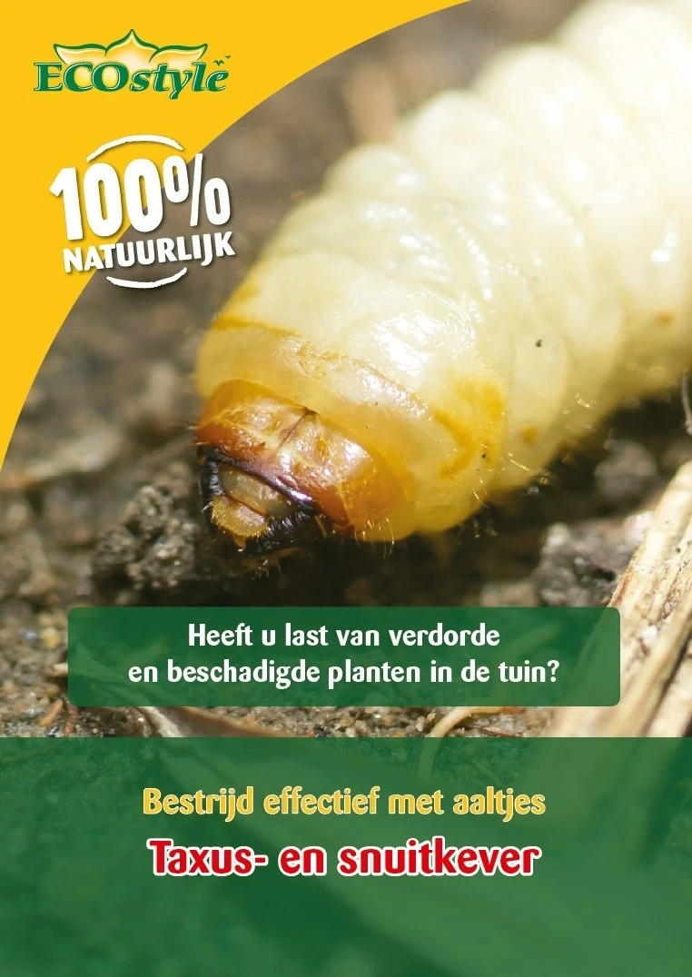 ECOstyle Aaltjes H Tegen Larven Taxus- En Snuitkever 250 Mln/500 M2 3 ECOstyle Aaltjes H Tegen Larven Taxus- En Snuitkever 250 Mln/500 M2