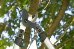 Gardena Premium Takkenschaar 700 B -Tuingereedschap Verkoop image 626