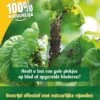 ECOstyle Gaasvlieg Tegen Bladluis 500 St. -Tuingereedschap Verkoop image 630