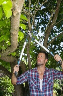 Gardena Takkenschaar EnergyCut 750B -Tuingereedschap Verkoop image 662