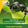 ECOstyle Aaltjes F Tegen Mieren 5 Mln/10 M2/5 Nest 2 ECOstyle Aaltjes F Tegen Mieren 5 Mln/10 M2/5 Nest -Tuingereedschap Verkoop image 752